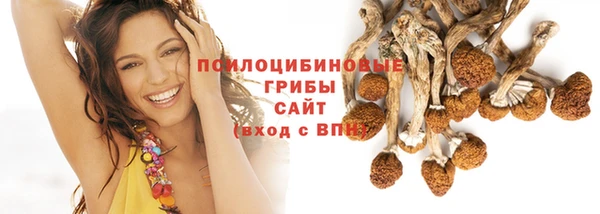 PSILOCYBIN Белоозёрский