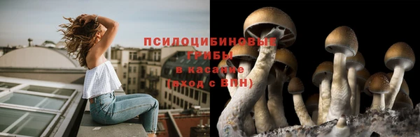 амф Баксан