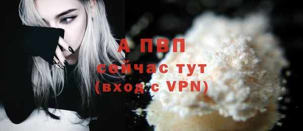 PSILOCYBIN Белоозёрский