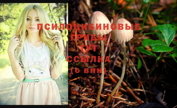 PSILOCYBIN Белоозёрский