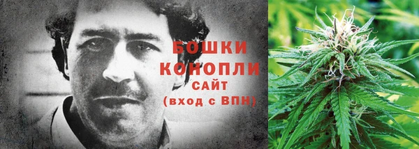 PSILOCYBIN Белоозёрский