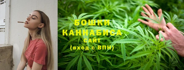 PSILOCYBIN Белоозёрский
