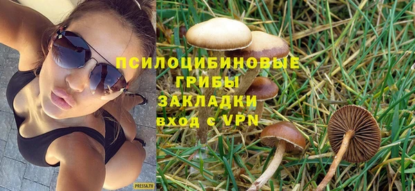 PSILOCYBIN Белоозёрский