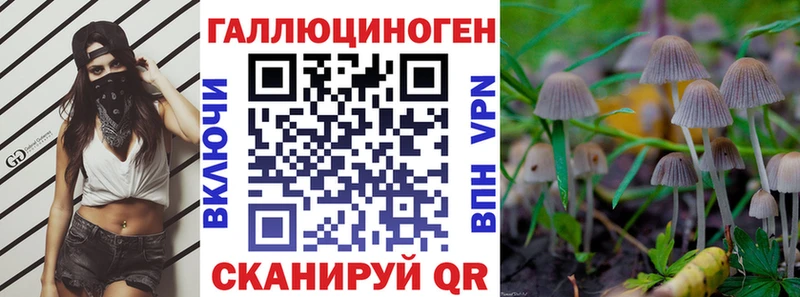 Галлюциногенные грибы Psilocybine cubensis  Курганинск 