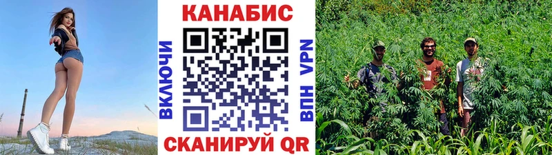 Канабис планчик  цены наркотик  Курганинск 
